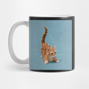 Tabby Kitten Pounce Mug